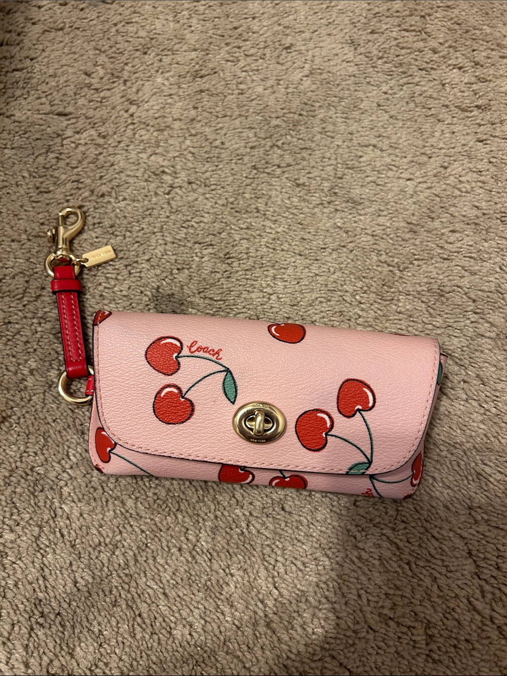 Nwot Coach Light Pink And Red Cherry Print Sunglasses Case